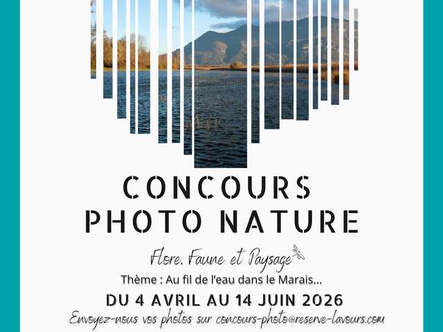 Concours photo nature : Au fil de l'eau dans le marais...