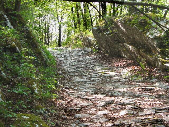 Circuit VTT n°7 - La Voie Sarde