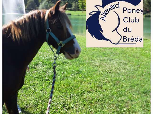 Le Poney CLub du Bréda