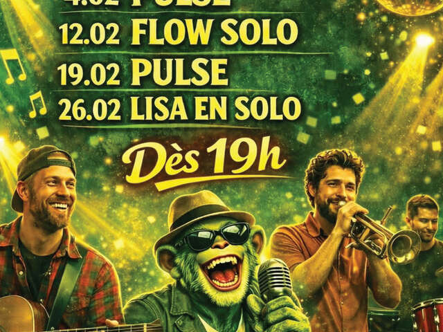 Live concert au Green Monkey Pub : Pulse