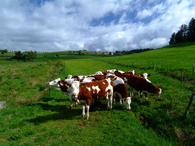 Séjour 2 jours - Rando campagne, en famille, nuit à la ferme