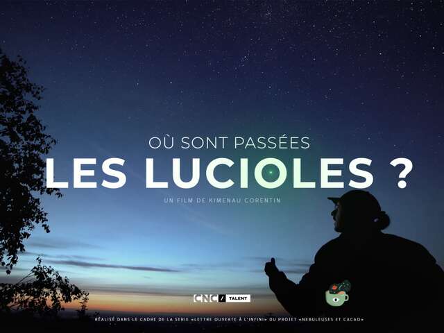 Où sont passées les lucioles