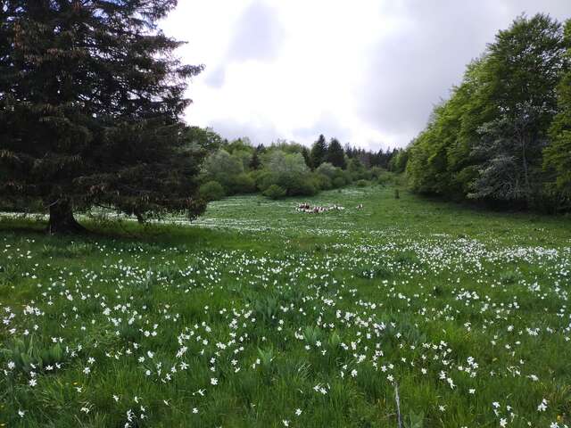 Sortie nature au Plateau de Retord