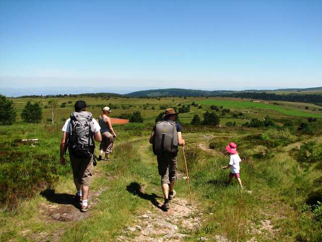 En famille sur les Hautes-Chaumes - séjour itinérant de randonnée