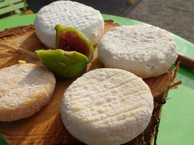 Vente de fromages fermiers bio