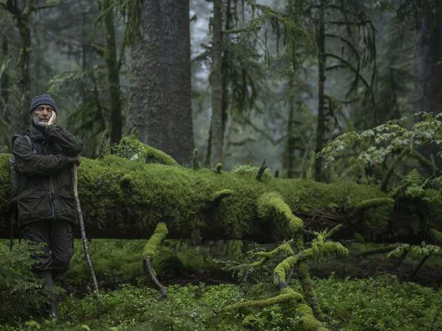Cinéma enfants « Le Chant des Forêts »