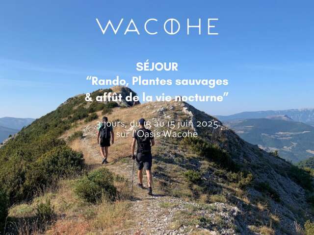 Hiking, Wild Plants & Nightlife Stay - Wacohe