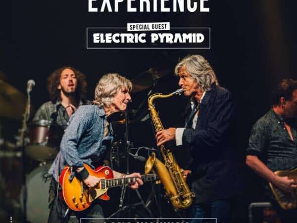 Concert : The Dire Straits Experience