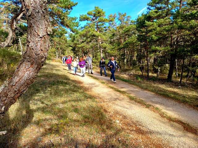 TRIGANCE - Sentier découverte préhistorique : Les Condamines