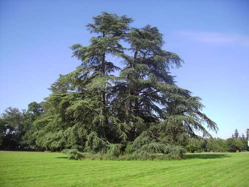 Parc de la Guyonnière