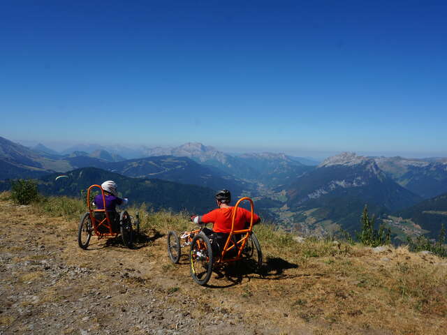 Fauteuil tout terrain électrique