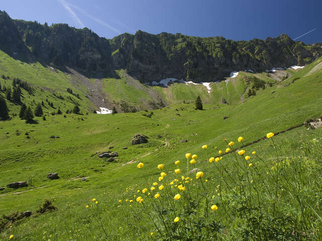 Randonnée à l'alpage de Graydon