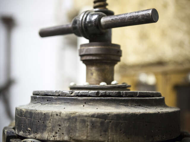 Visite de la Distillerie Blachère