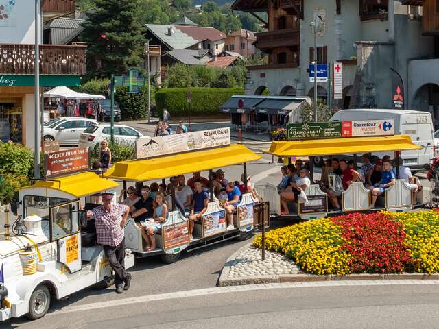 Septitrain : circuits commentés à bord du petit train de Samoëns