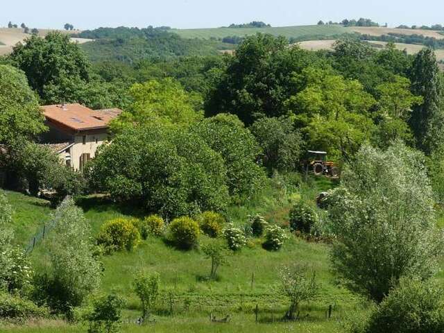 Les trois chardons