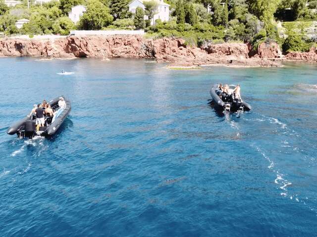 Black Tenders - excursions nautiques