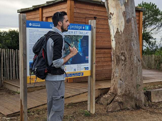 Point Rencontre : Régénération d'un site naturel incendié, l'exemple du Cap Lardier