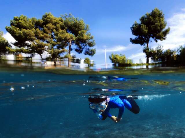 Snorkeling dans le Parc Marin de Carry-le-Rouet