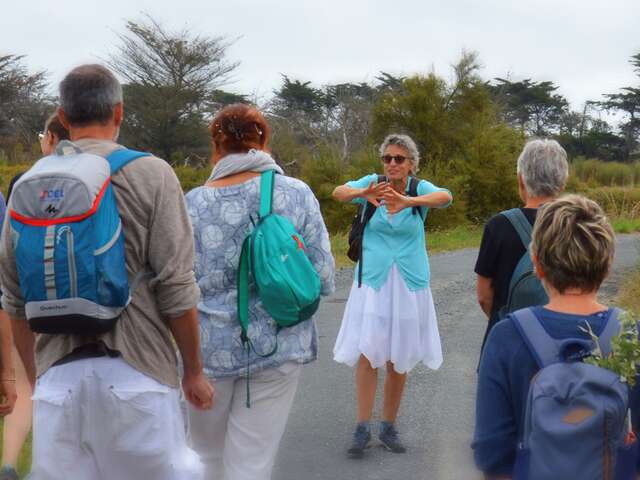 Marie-Ange's storytelling and gourmet walks in Ars-en-Ré