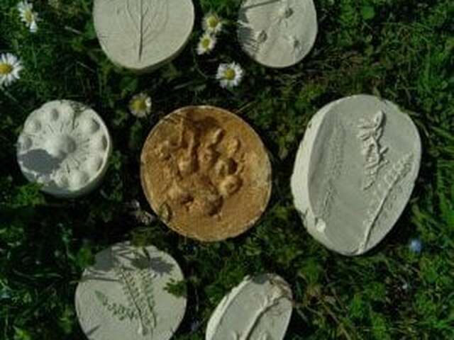 Moulages sauvages d'empreintes et de plantes (4-7ans) - Maison du Marais de Lavours