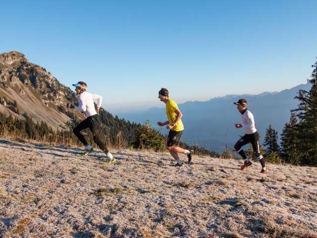 Swiss Peaks Trail