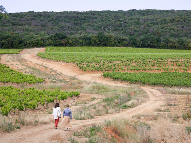 Sentier « Compagnons vignerons » au Domaine de Cantarelle