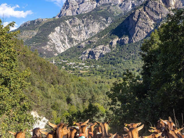 GAEC La Ferme des Écrins