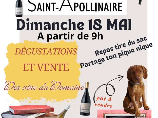 Le vide grenier du Domaine Saint Apollinaire
