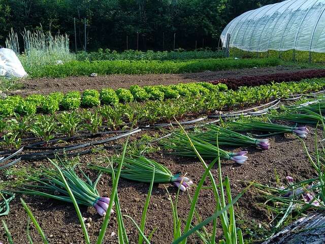 Les Jardins du Trifoulou