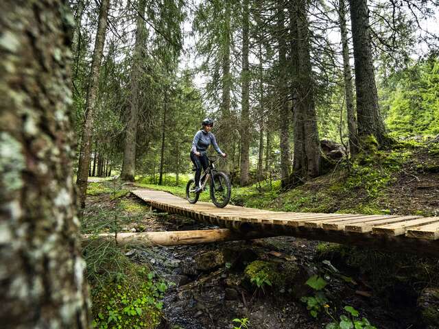 Bike Park First Wheel