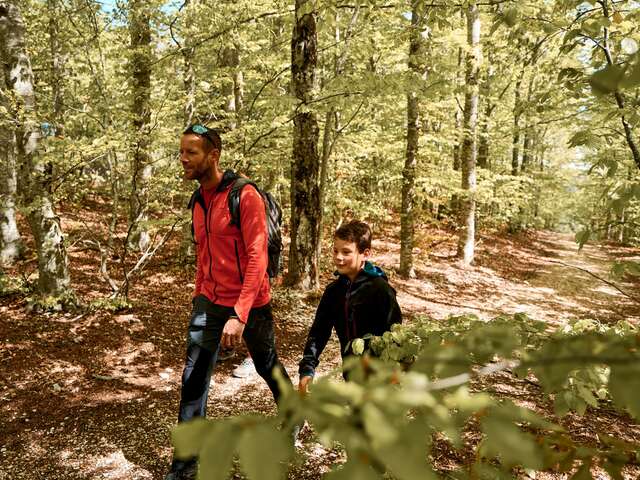 ST-LEGER-DU-VENTOUX - Sentier botanique de soleil et d'eau