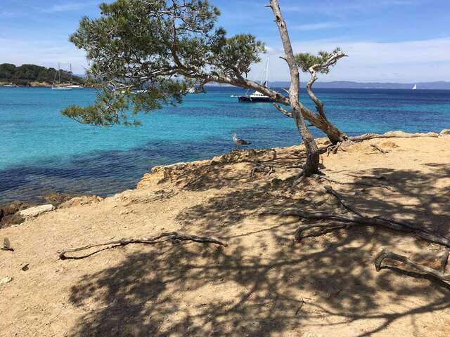 Excursion en bateau les Iles de Port Cros et Porquerolles