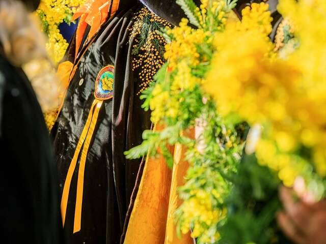 Fête du Mimosa 2026 - Le Carnaval des Carnavals