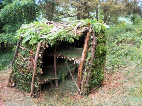 Construis ta cabane