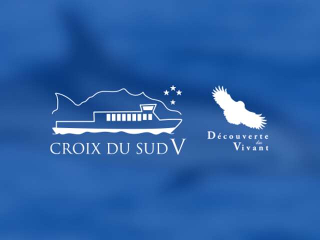 Croix du Sud V - Accueil à quai