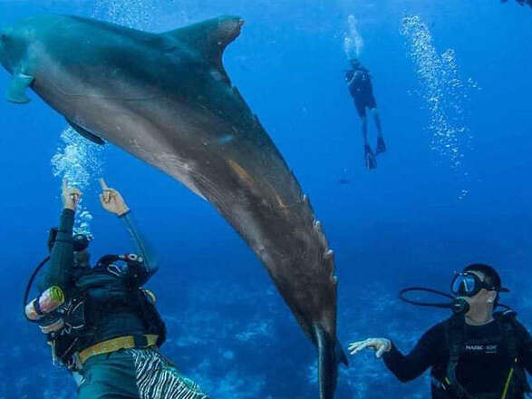 Rangiroa Diving Center