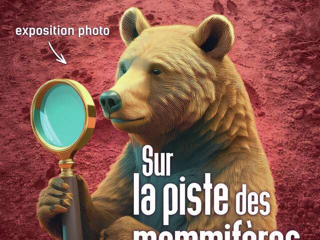 Temporary exhibition at the Victor Brun Museum - On the trail of mammals