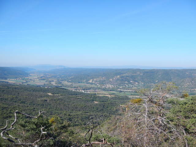 Plateau de Saint-Jurs