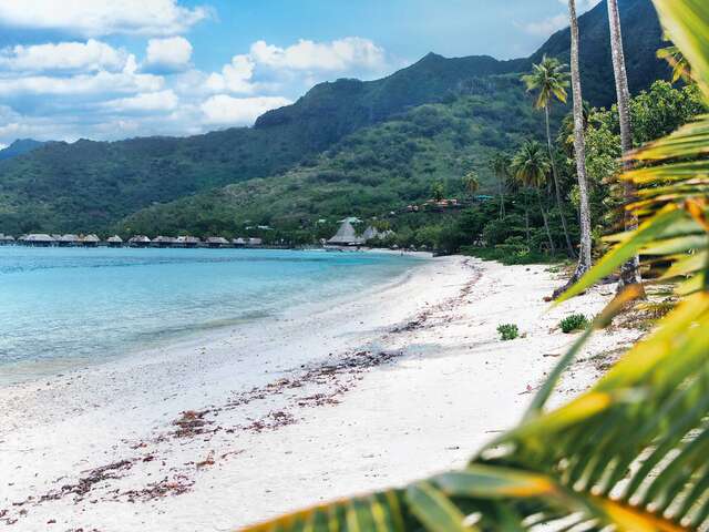 Plage De Temae