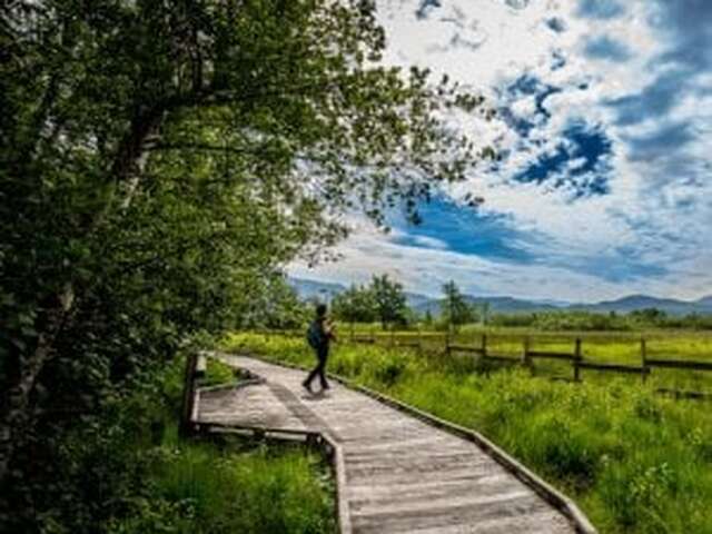 Visite guidée de la Réserve Naturelle du Marais de Lavours