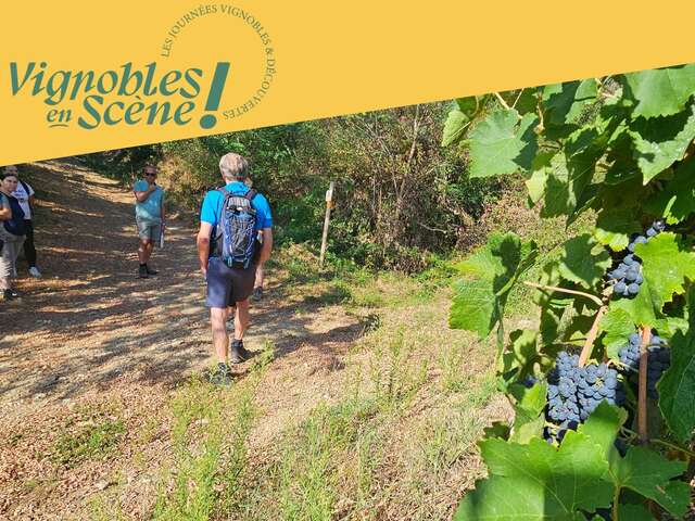 Wine walk at Domaine Grenier