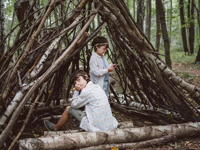 Balade et construction d'une cabane