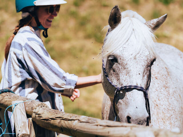 Activités équestres sur le plateau de l'Arselle