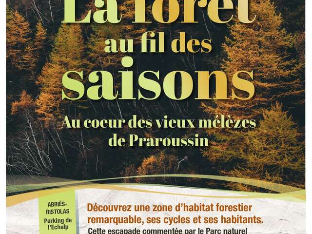 Sortie Parc - La forêt au fil des saisons