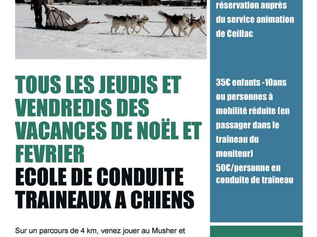 Balade en traineaux à chiens