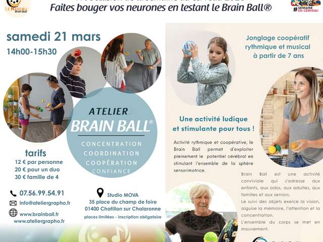 Brain Ball Discovery Workshop