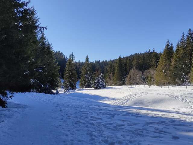 Randonnée raquettes : Les Balcons du Lac du Bourget