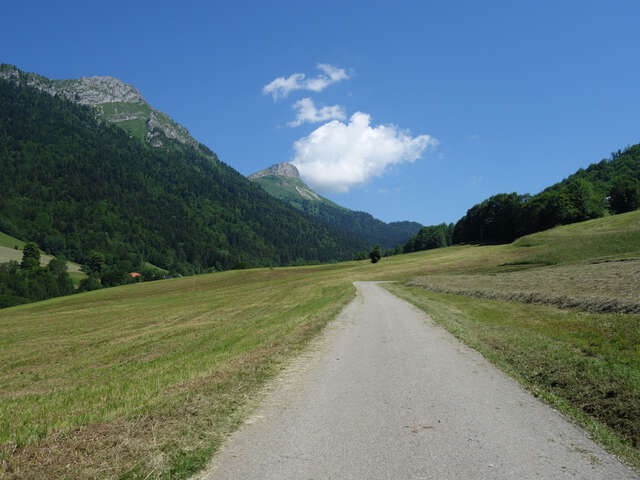 Circuit VTT AE - Col de la Buffaz