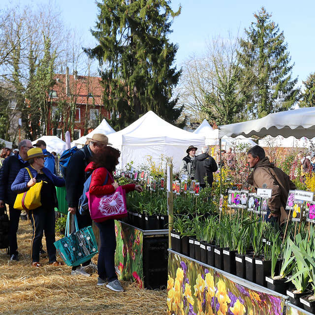 Marché aux plantes