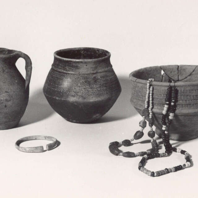 Musée communal d'archéologie hesbignonne 🖍